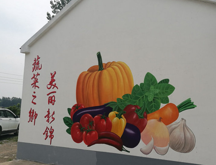幼儿园彩绘 文化墙设计 六安美好乡村墙画