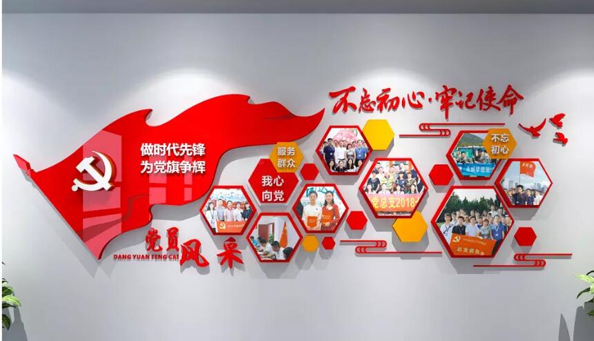 党员风采党建文化墙制作效果图