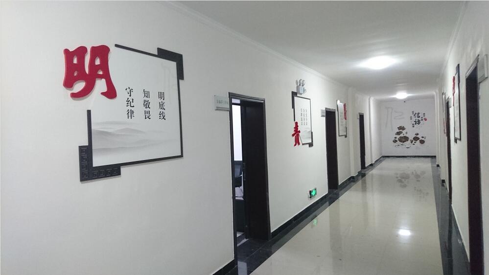 公司走廊特色文化墙制作效果图