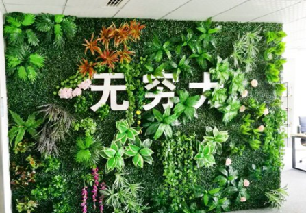 绿植形象墙设计效果图